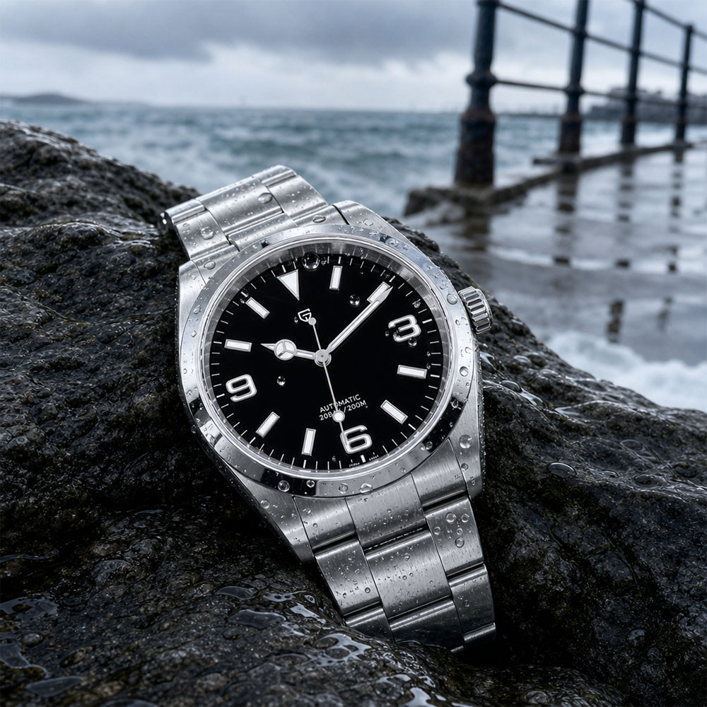 ساعة باجاني ديزاين الميكانيكية - مراجعة Mens Mechanical Watch وسعره